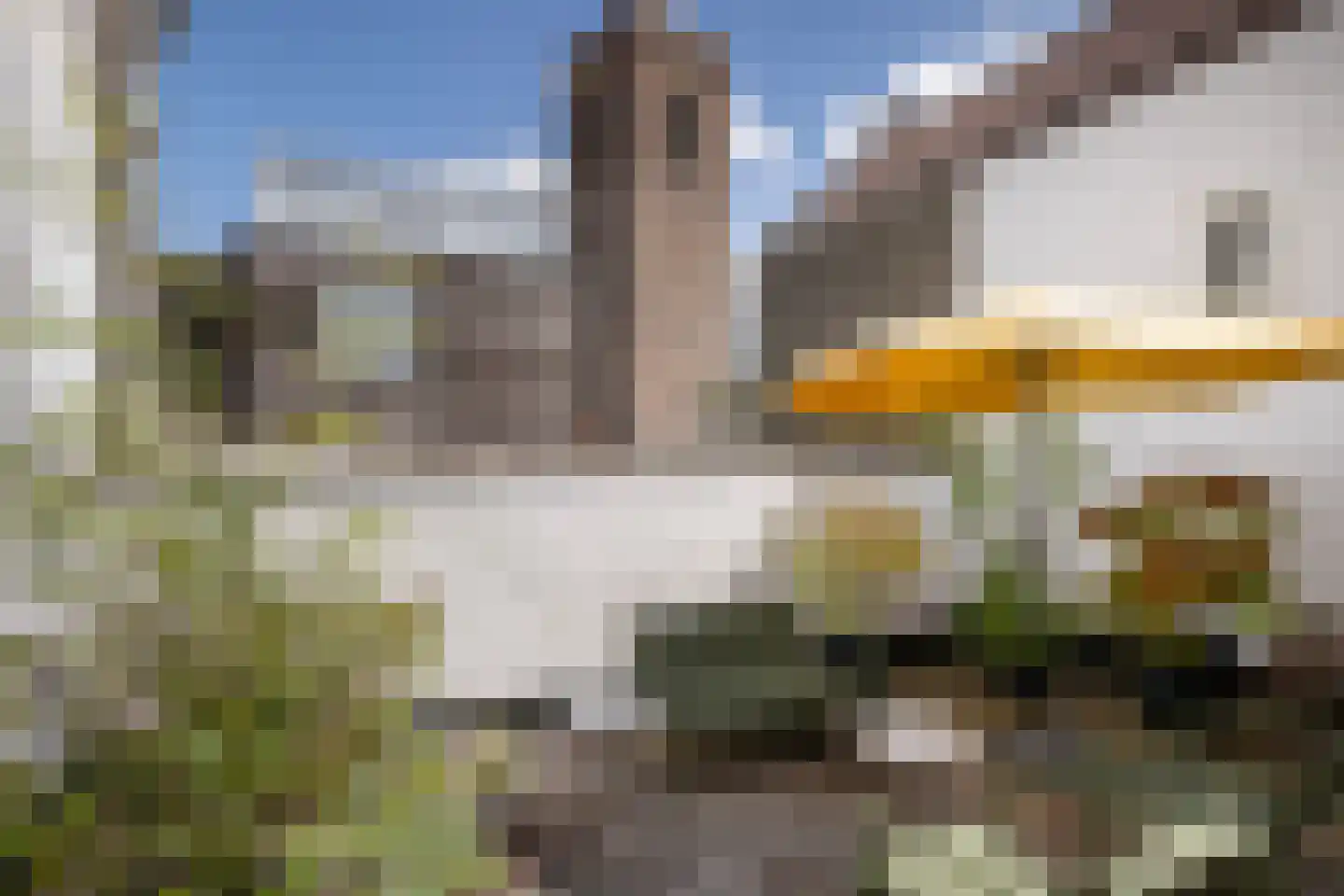 Hoogstraat 198 Schiedam thumbnail 41