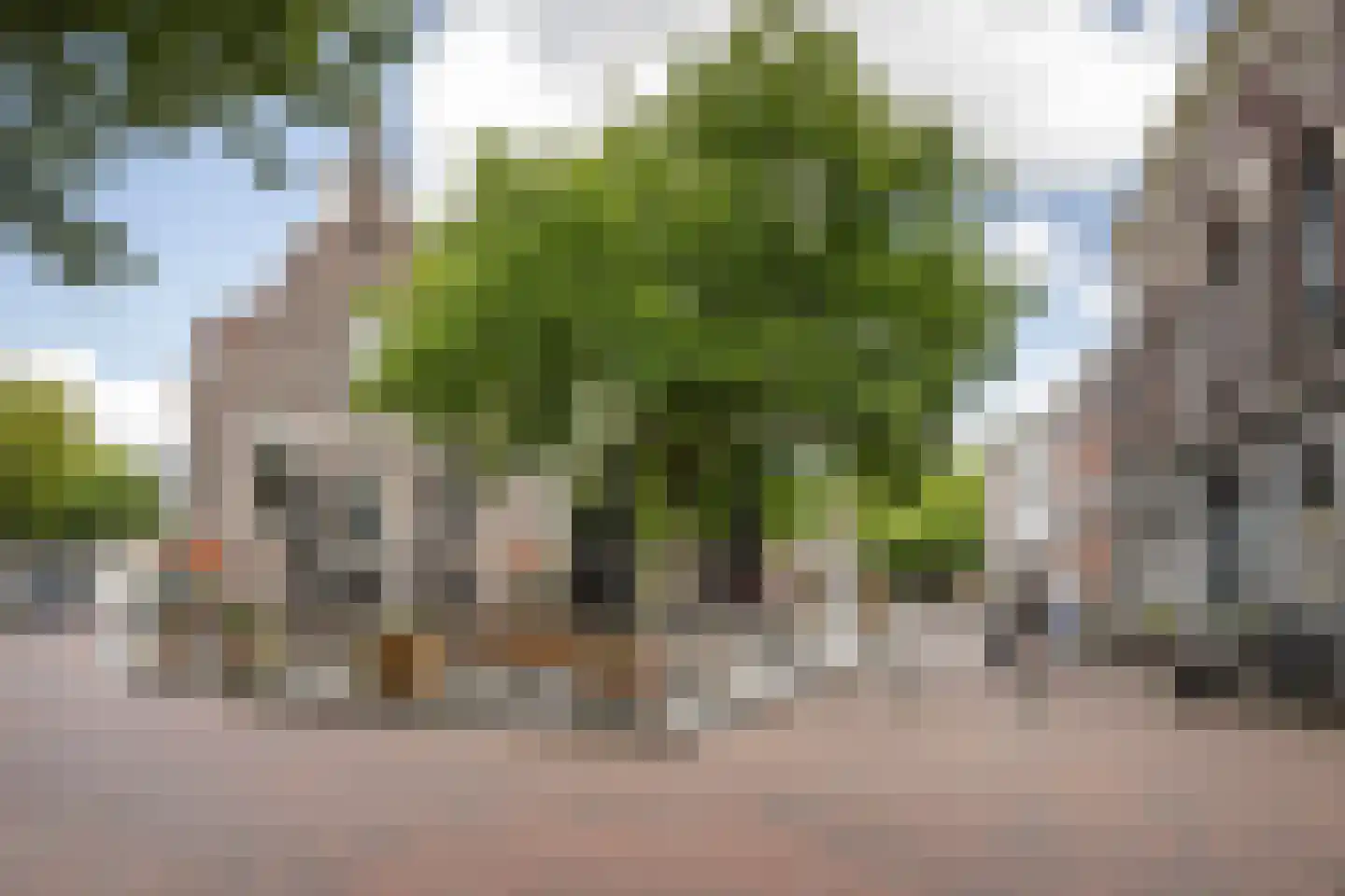 Hoogstraat 198 Schiedam thumbnail 59