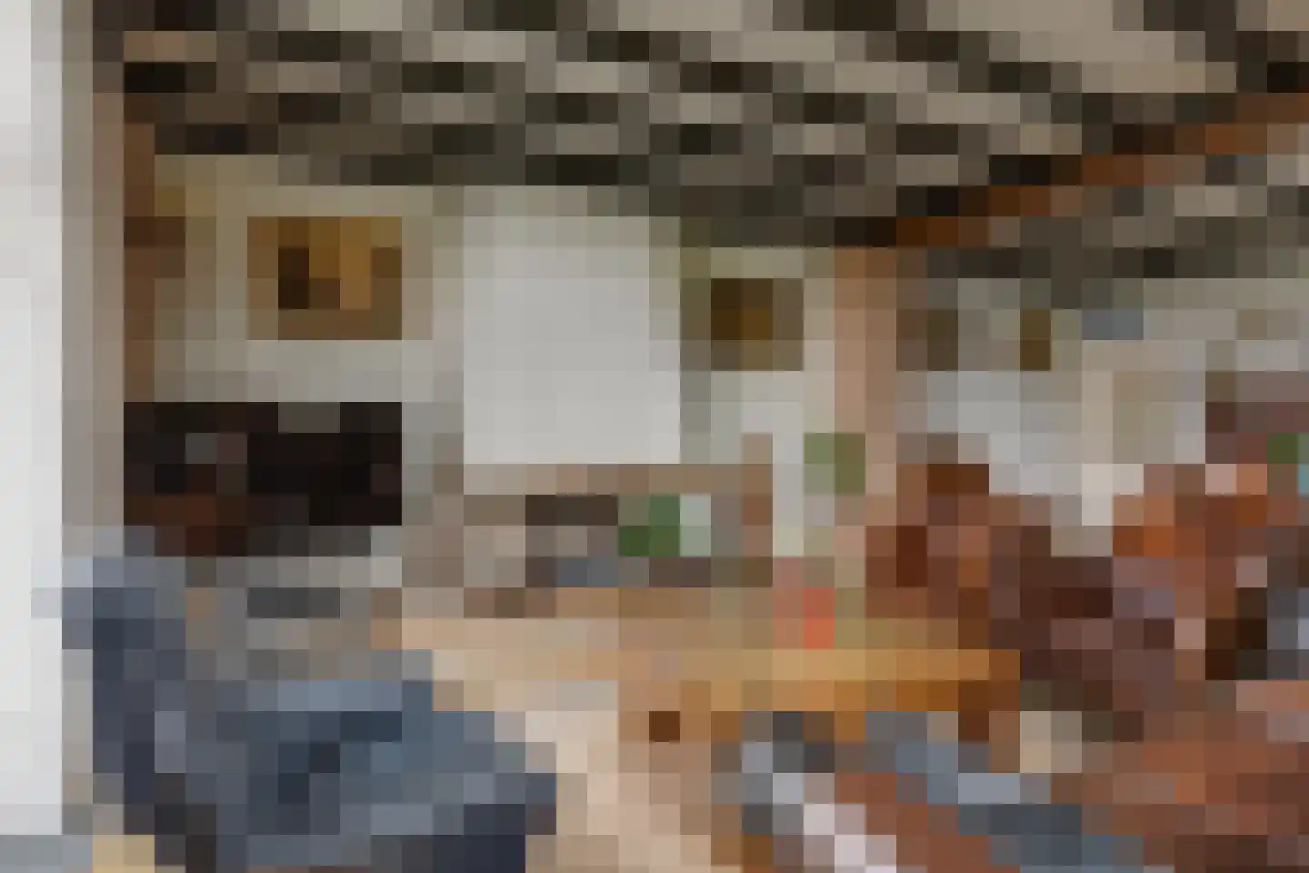 Hoogstraat 2 Toldijk thumbnail 14