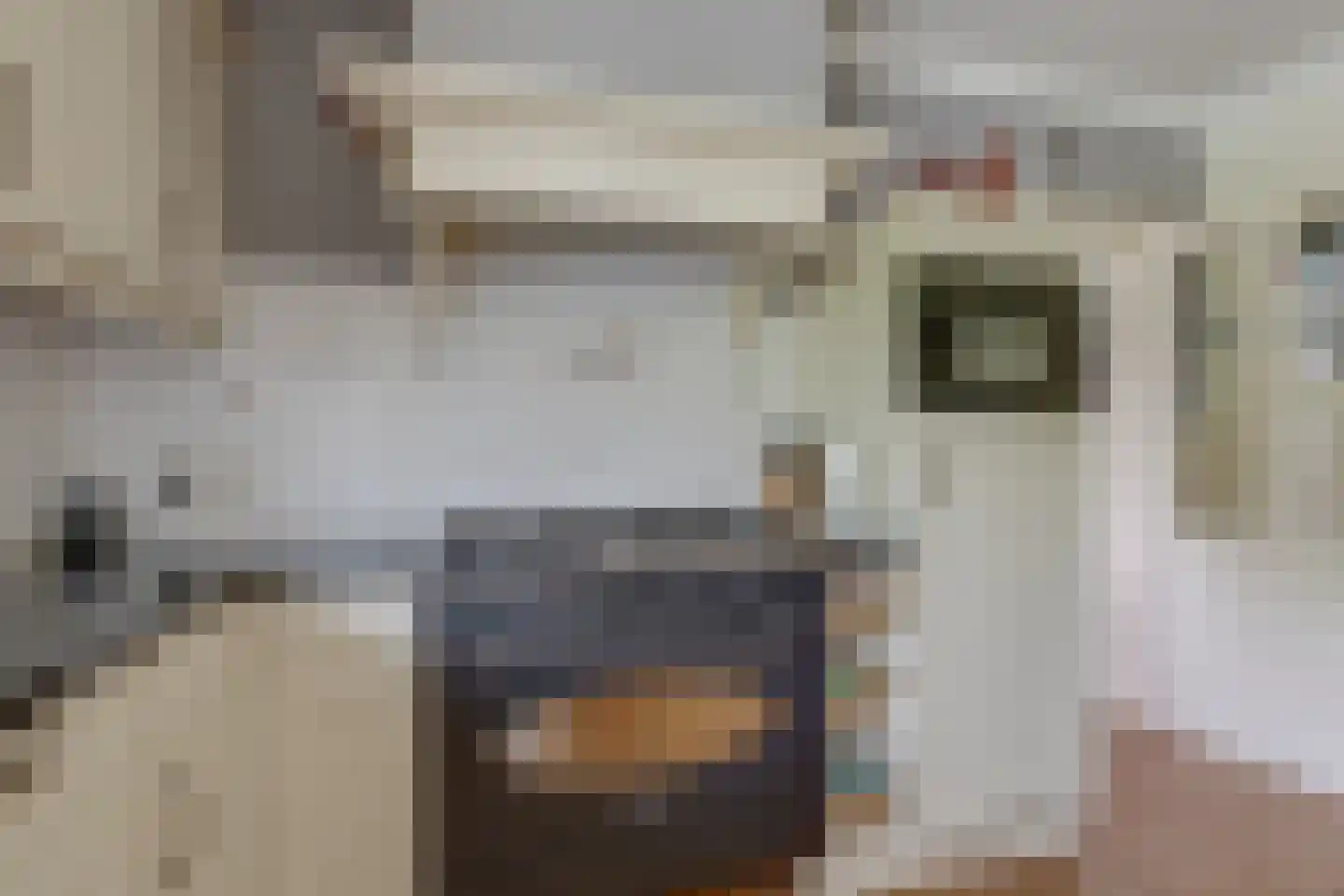 Hoogstraat 2 Toldijk thumbnail 17