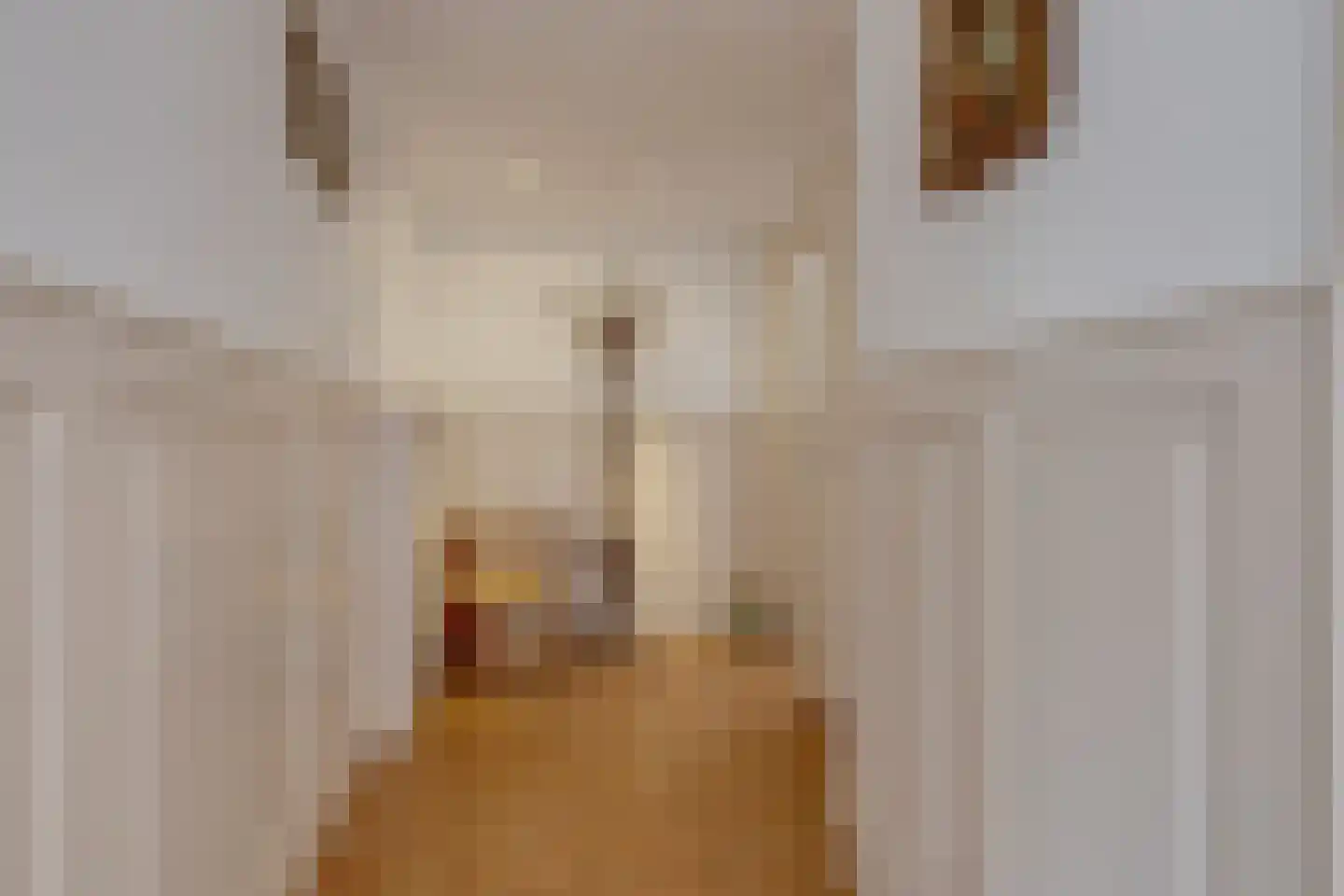 Hoogstraat 2 Toldijk thumbnail 26