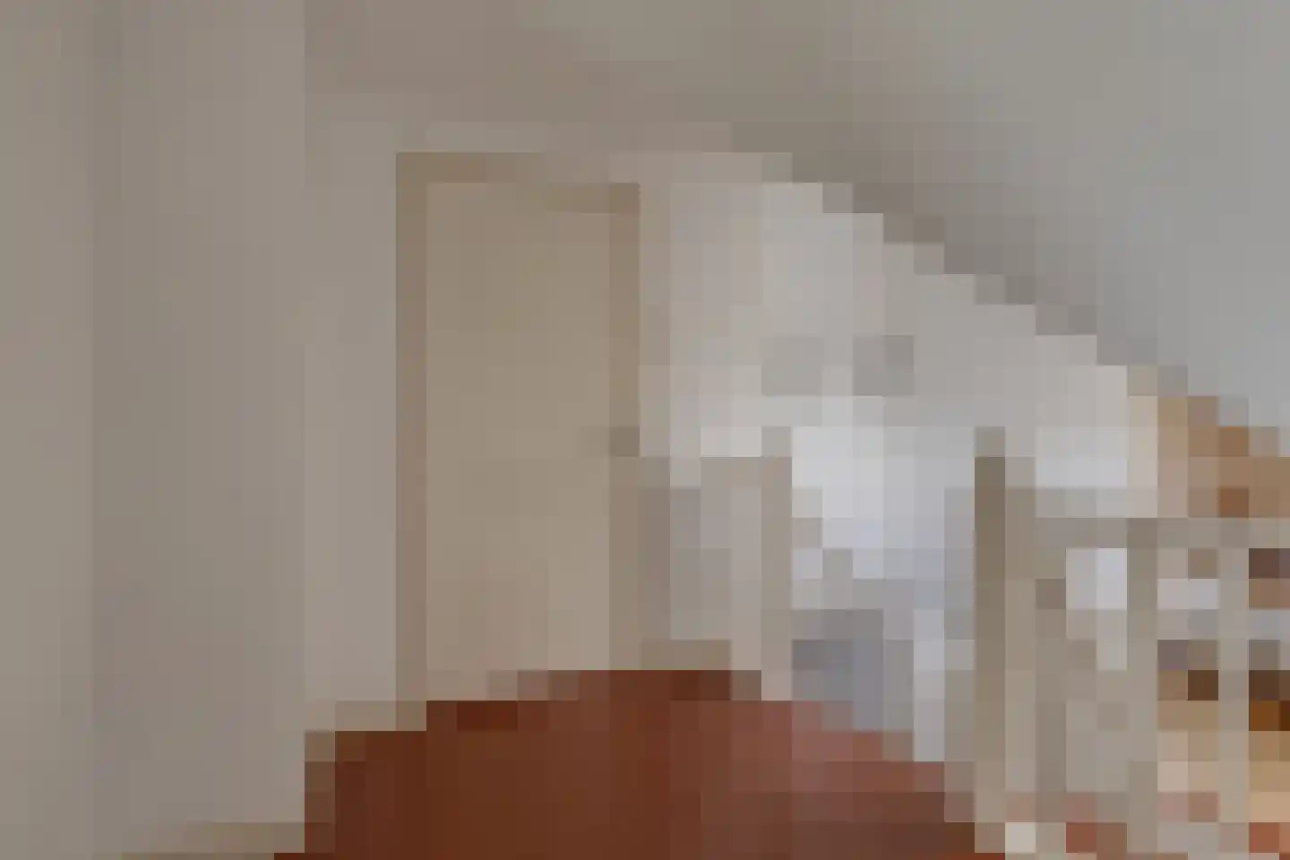 Hoogstraat 2 Toldijk thumbnail 30