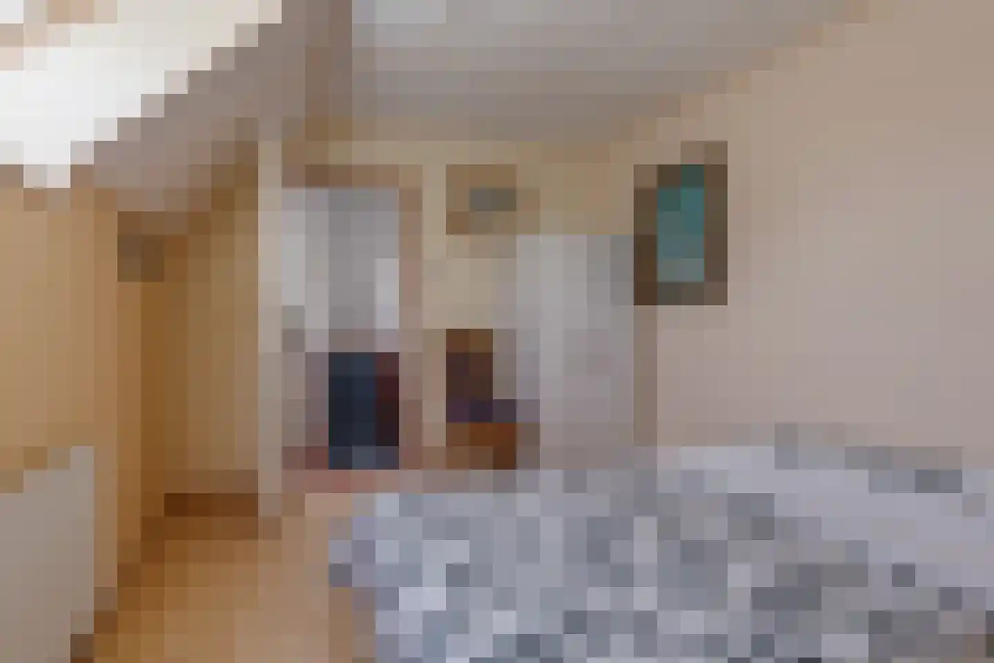 Hoogstraat 2 Toldijk thumbnail 38