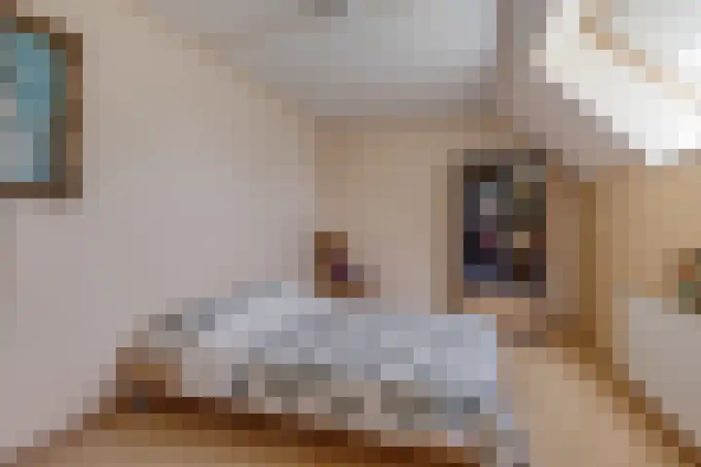 Hoogstraat 2 Toldijk thumbnail 39