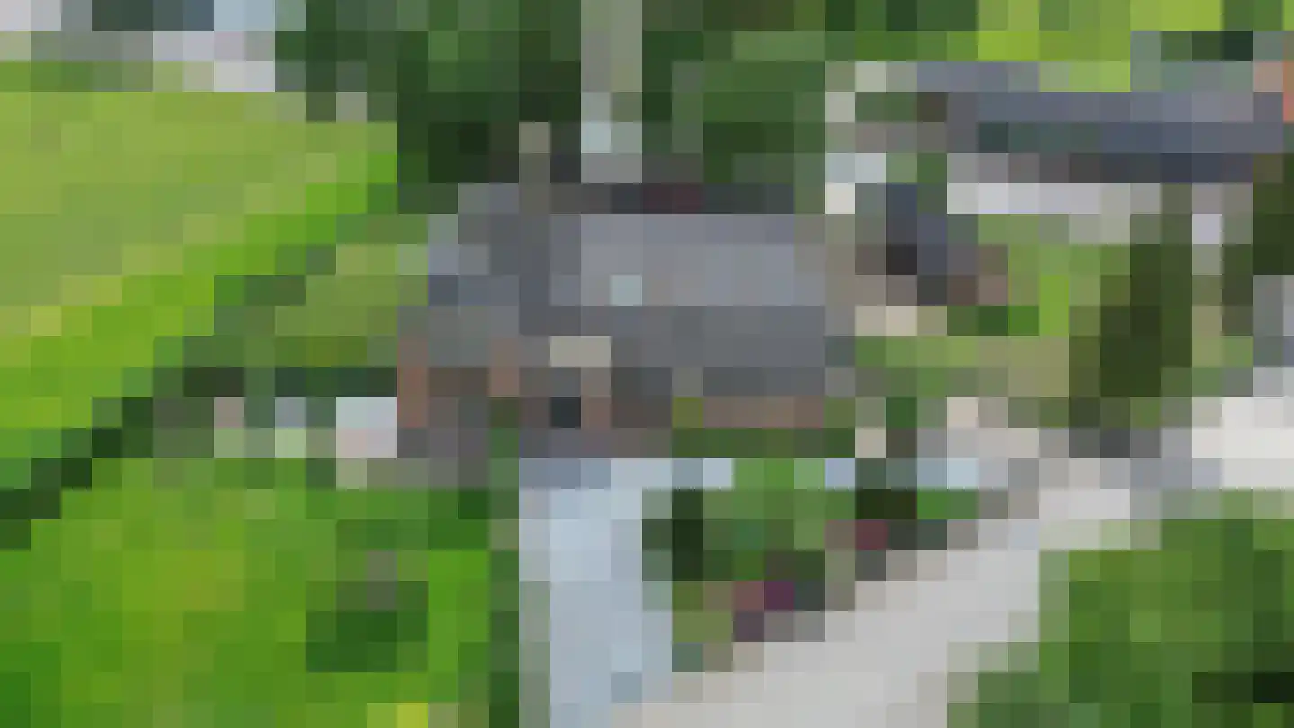 Hoogstraat 2 Toldijk thumbnail 4