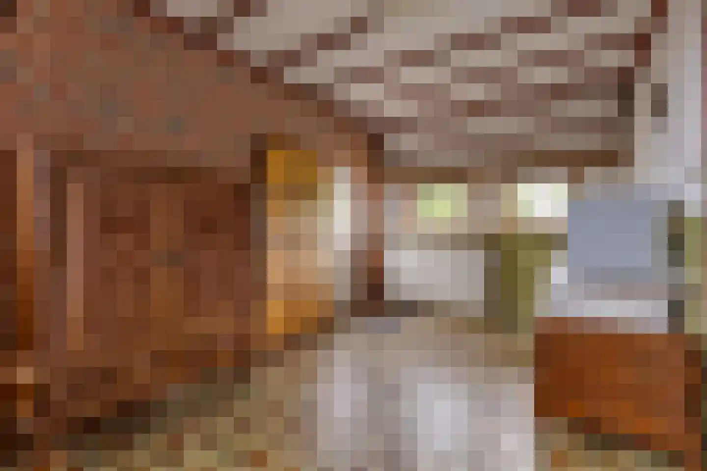 Hoogstraat 2 Toldijk thumbnail 40