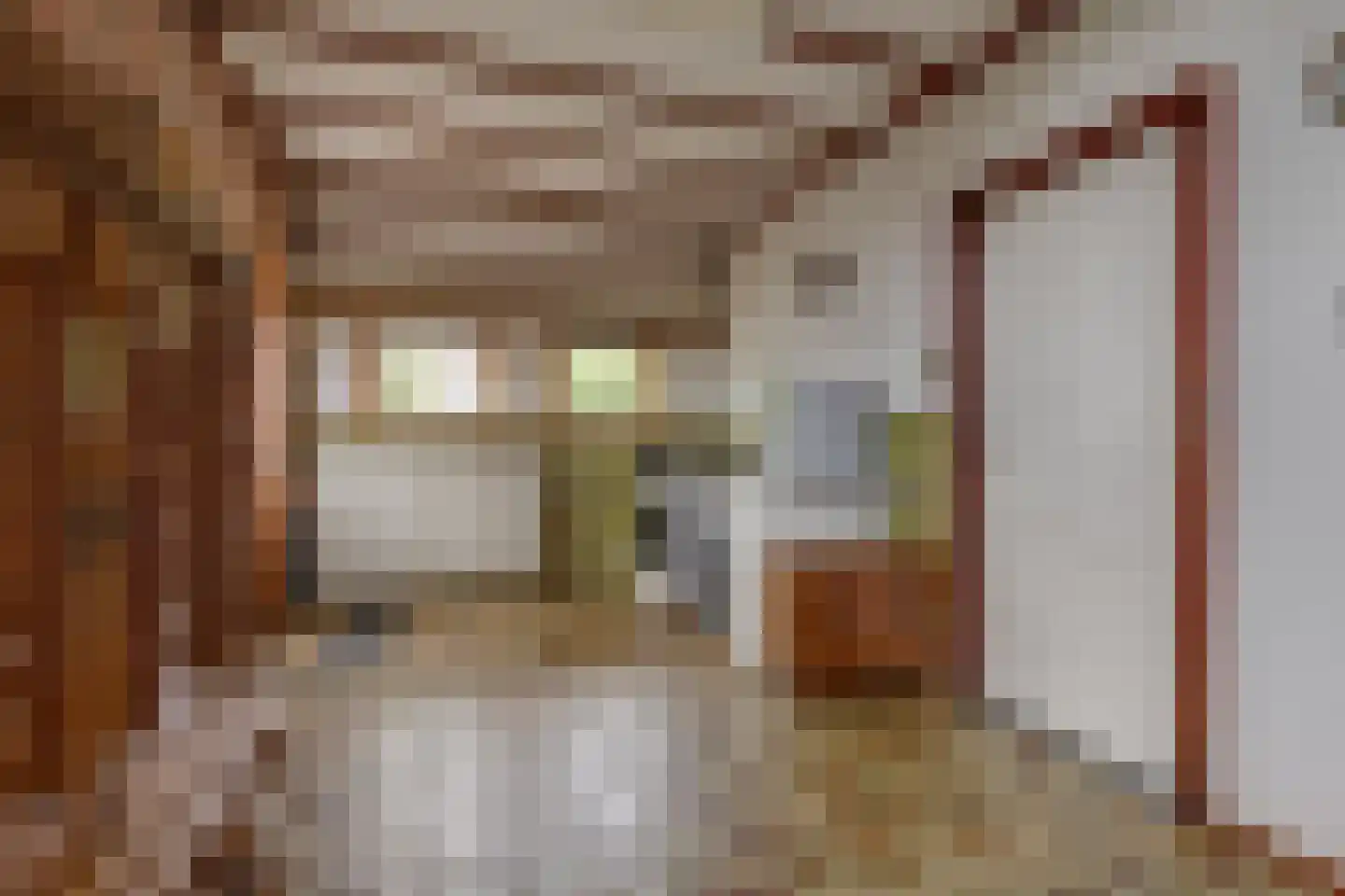 Hoogstraat 2 Toldijk thumbnail 41