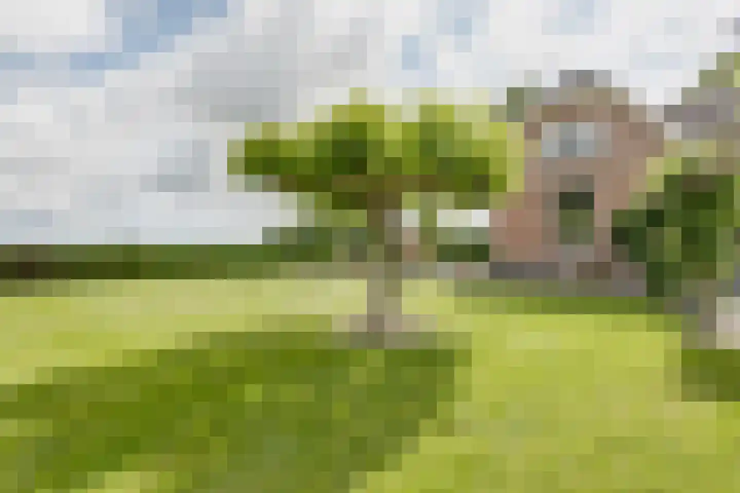 Hoogstraat 2 Toldijk thumbnail 51