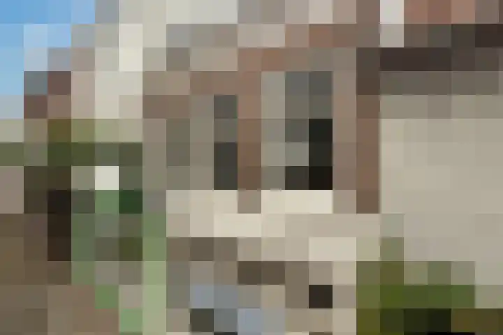 Hoogstraat 20 in Alkmaar