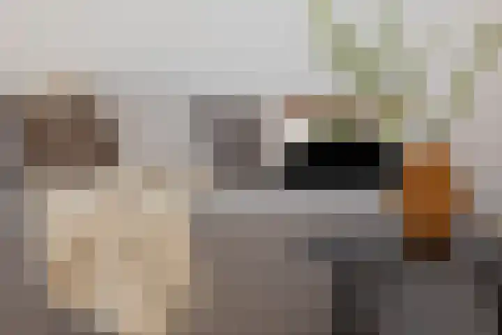 Hoogstraat 20 Alkmaar thumbnail 17