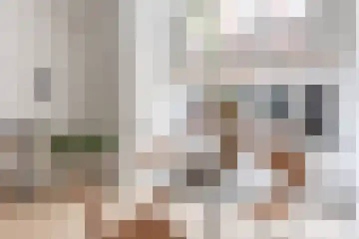 Hoogstraat 20 Alkmaar thumbnail 7