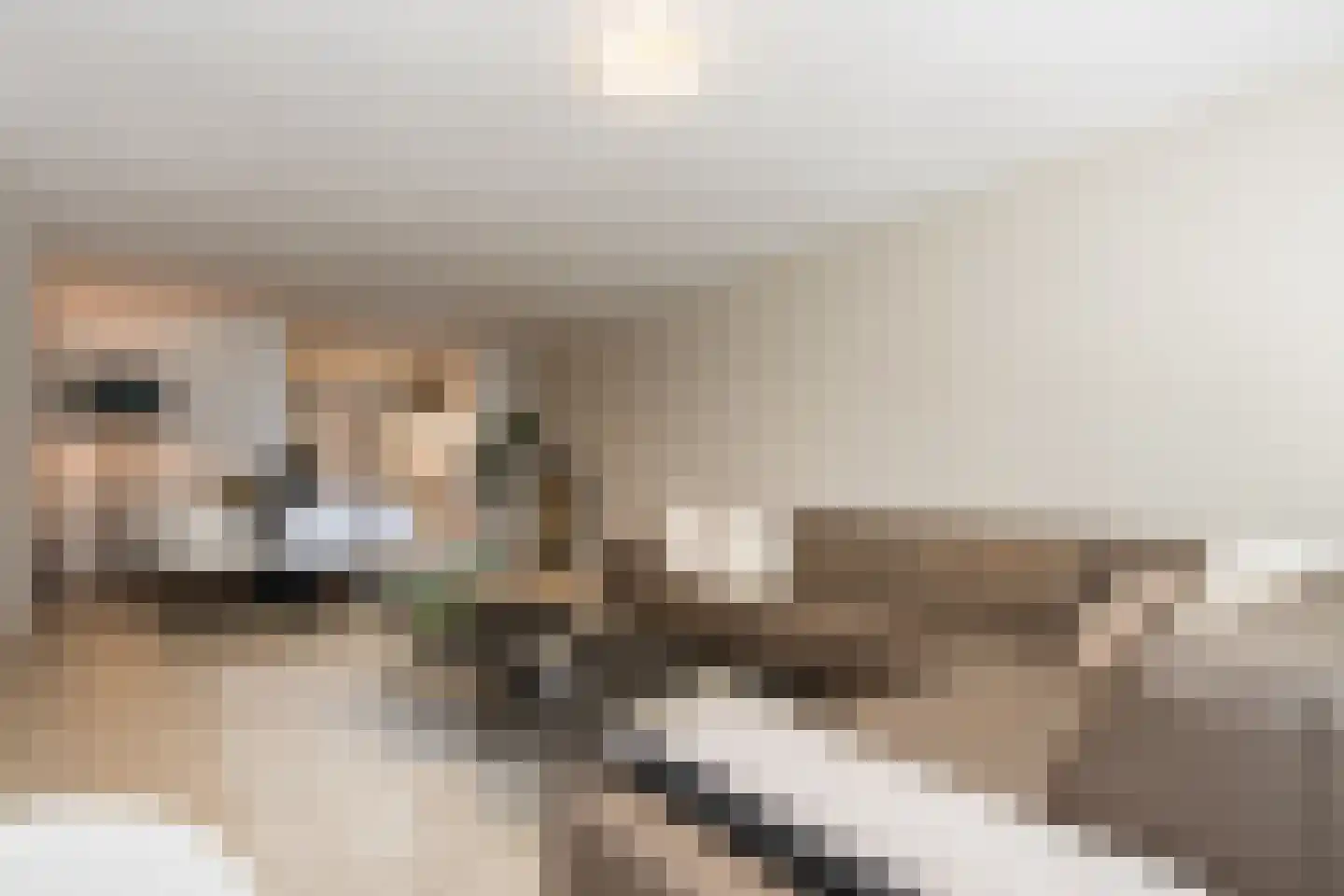 Hoogstraat 20 Werkendam thumbnail 17