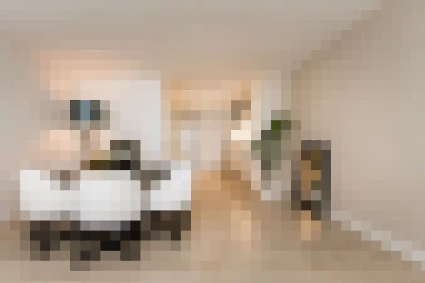 Hoogstraat 20 Werkendam thumbnail 18