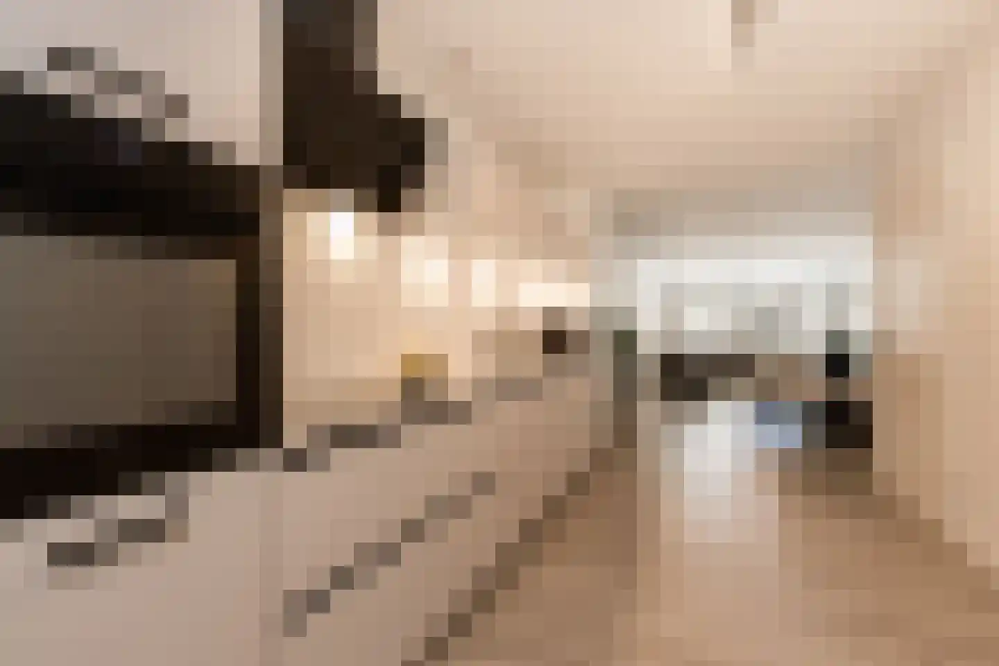 Hoogstraat 20 Werkendam thumbnail 21