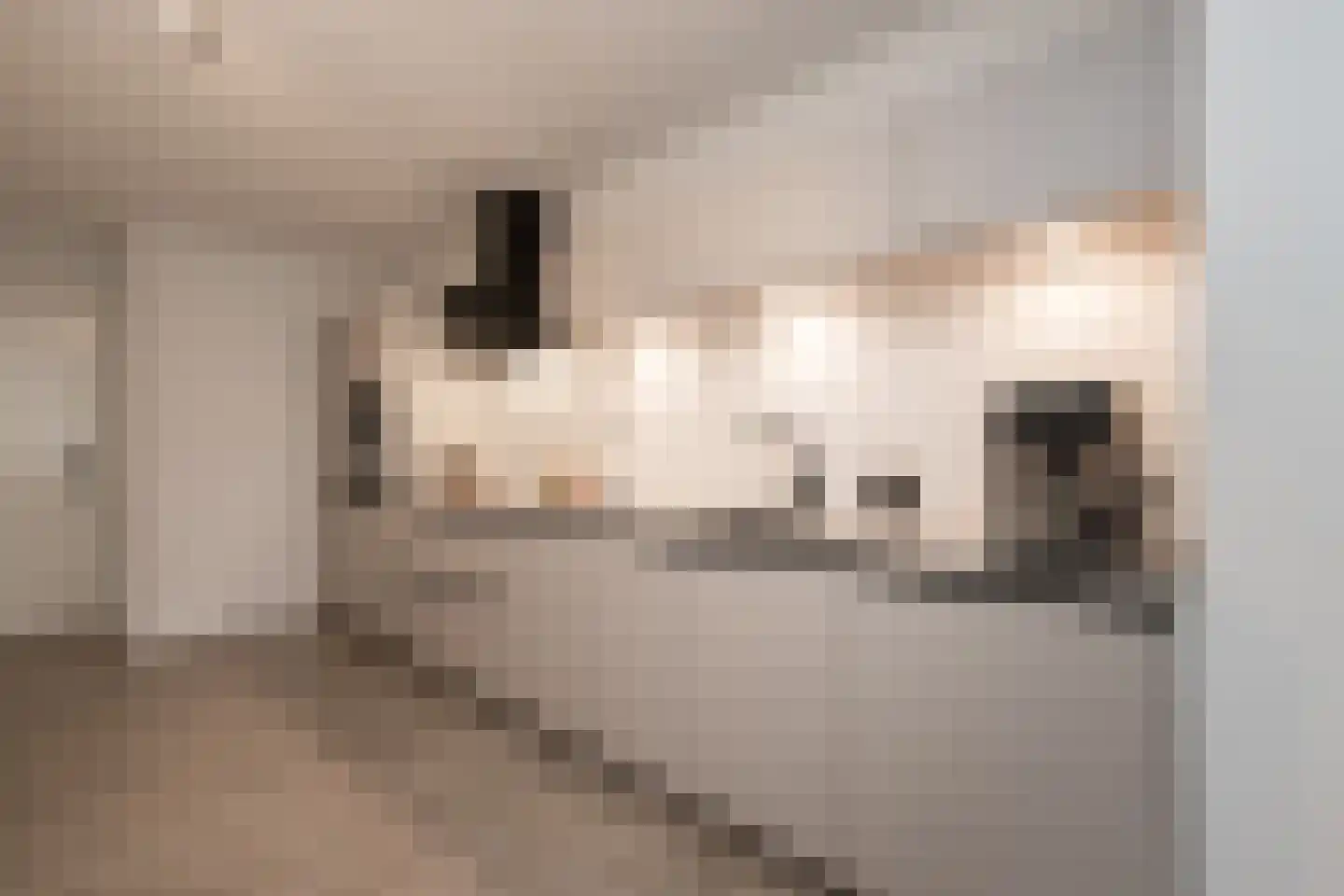 Hoogstraat 20 Werkendam thumbnail 22