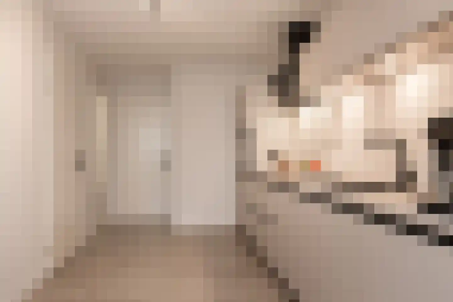 Hoogstraat 20 Werkendam thumbnail 23