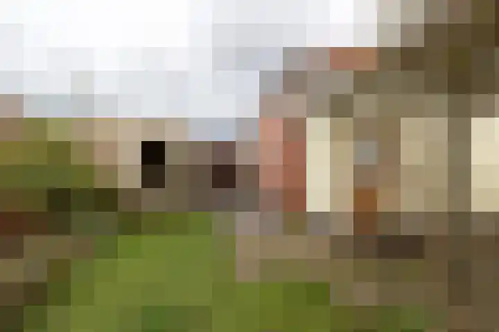 Hoogstraat 20 Winschoten thumbnail 40