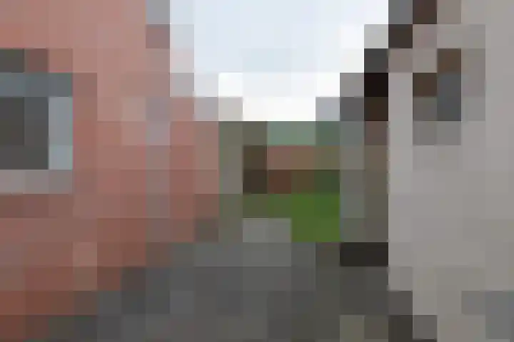 Hoogstraat 20 Winschoten thumbnail 42