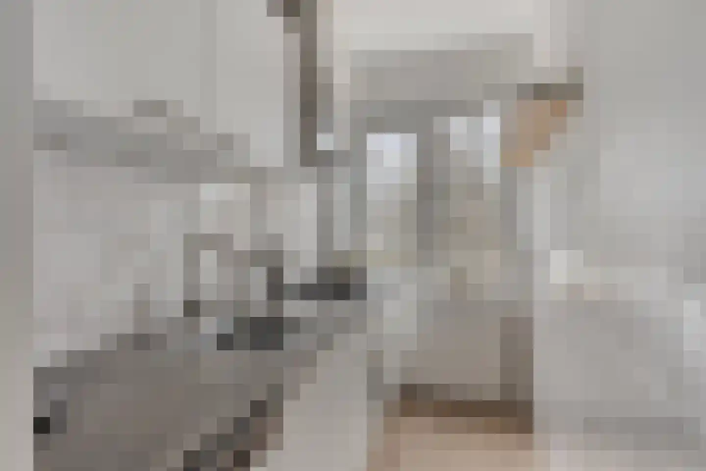 Hoogstraat 202 B Eindhoven thumbnail 14