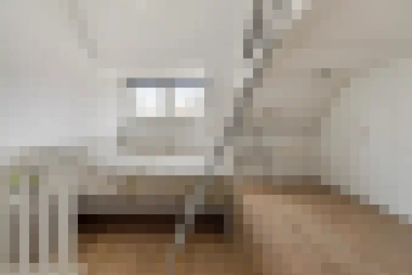 Hoogstraat 202 B Eindhoven thumbnail 20
