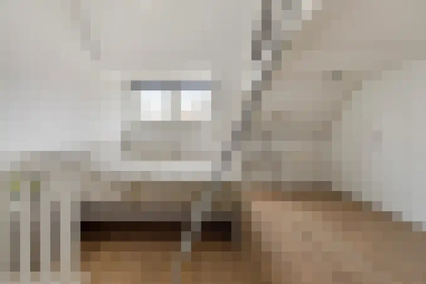 Hoogstraat 202 B Eindhoven thumbnail 20