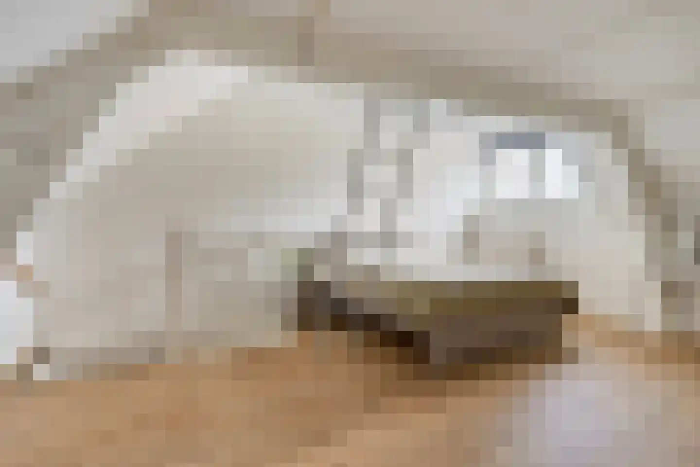 Hoogstraat 202 B Eindhoven thumbnail 21