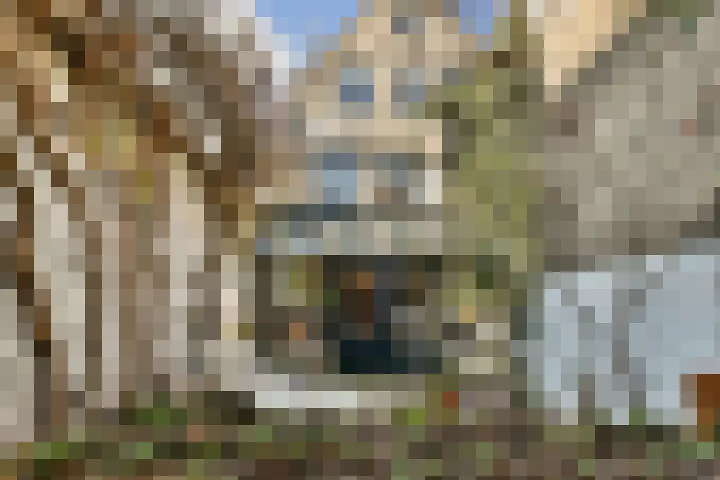 Hoogstraat 205 A Vlaardingen thumbnail 15