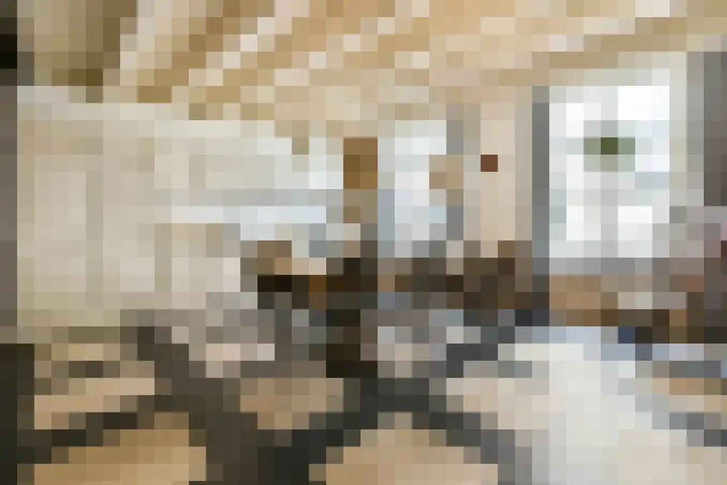 Hoogstraat 205 A Vlaardingen thumbnail 21