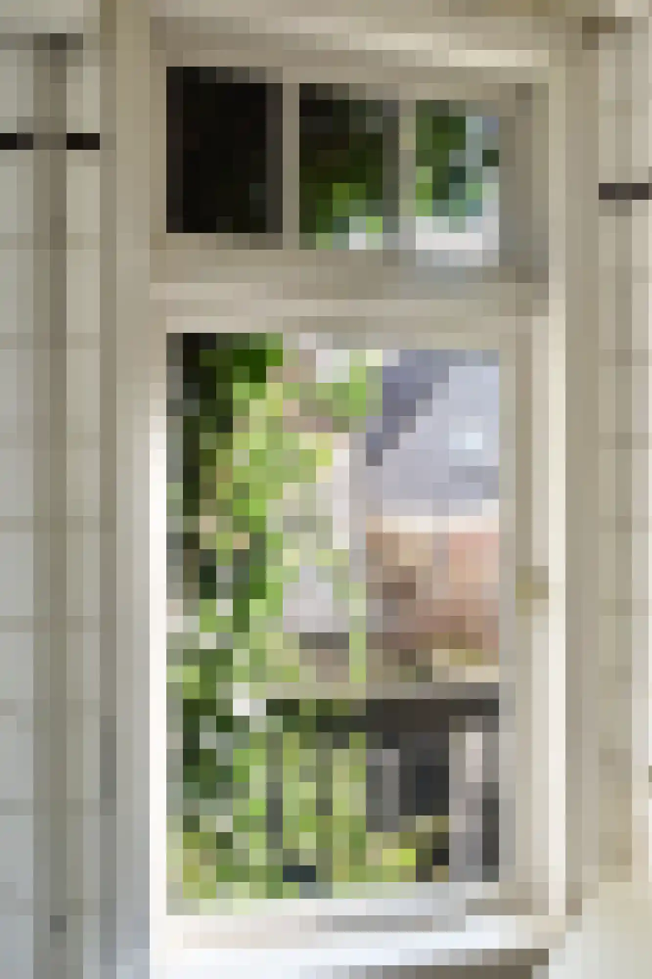 Hoogstraat 205 A Vlaardingen thumbnail 28