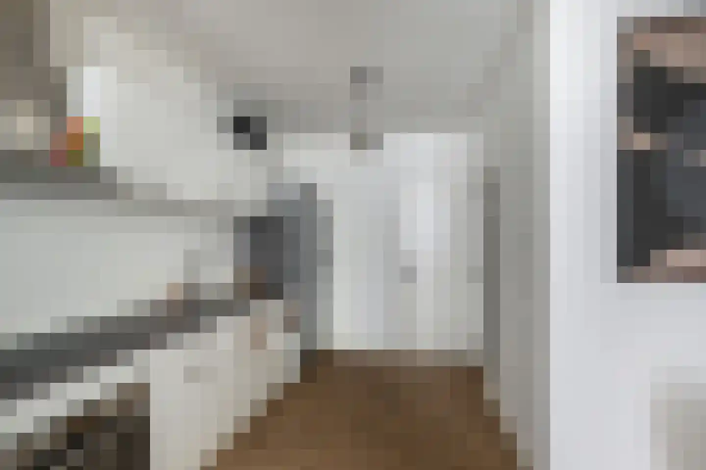 Hoogstraat 211 B Vlaardingen thumbnail 14