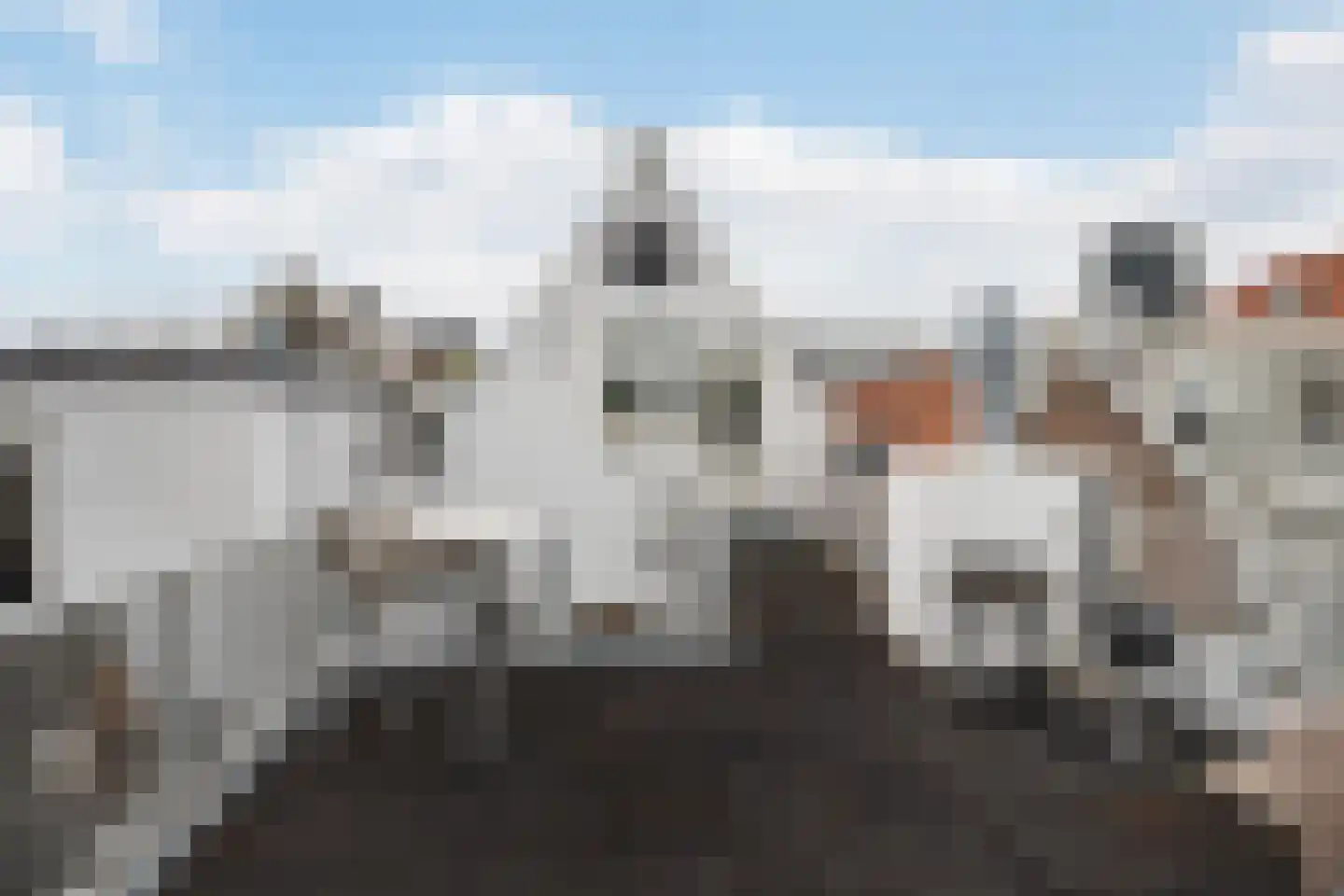 Hoogstraat 211 B Vlaardingen thumbnail 23