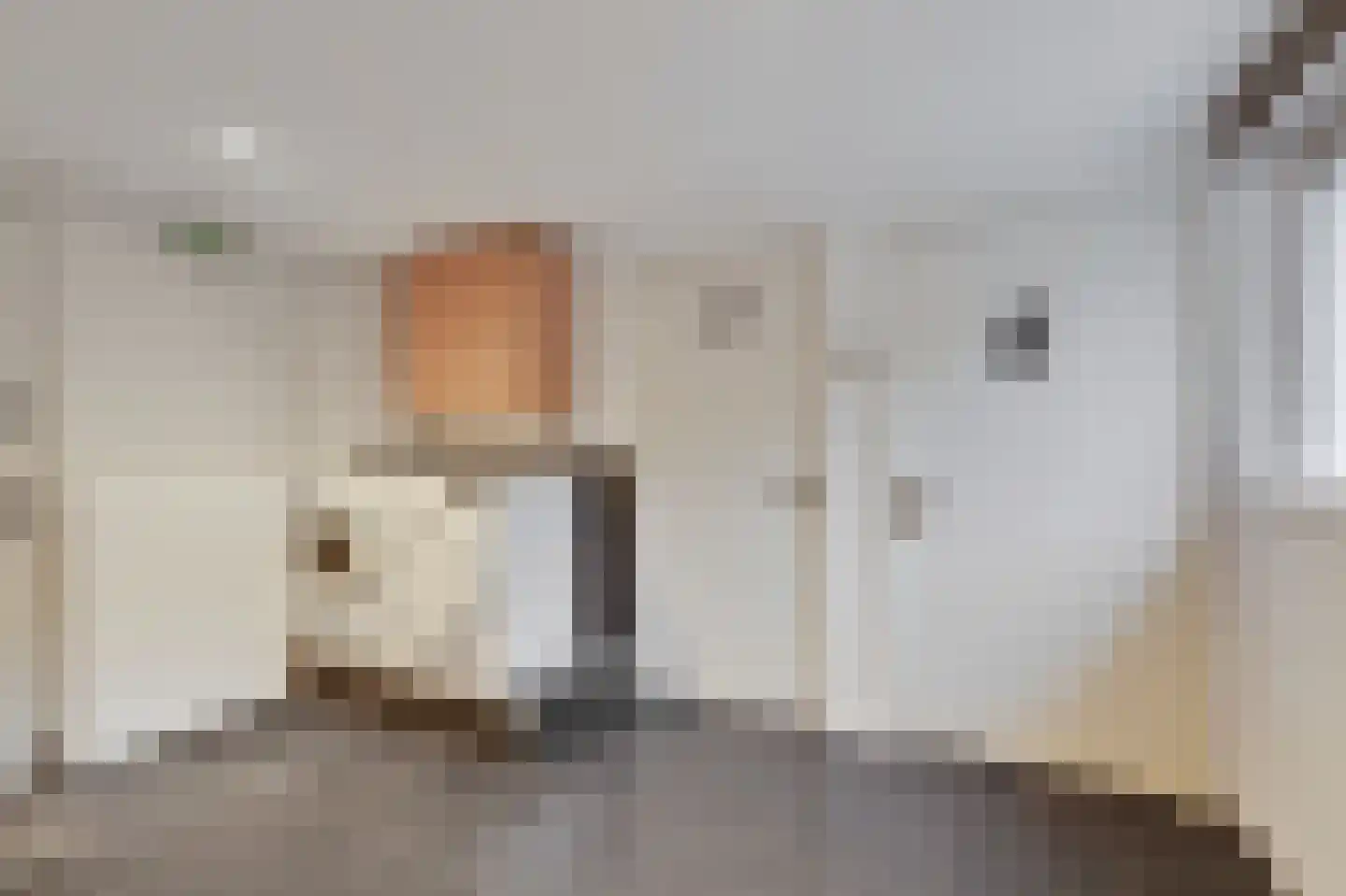 Hoogstraat 22 Overasselt thumbnail 12