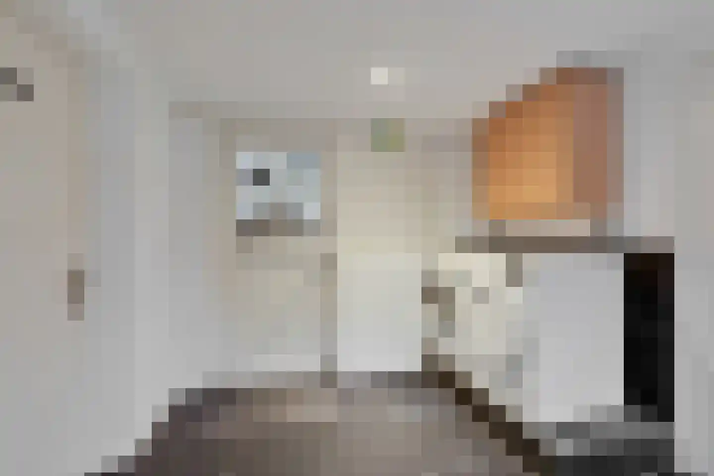 Hoogstraat 22 Overasselt thumbnail 19