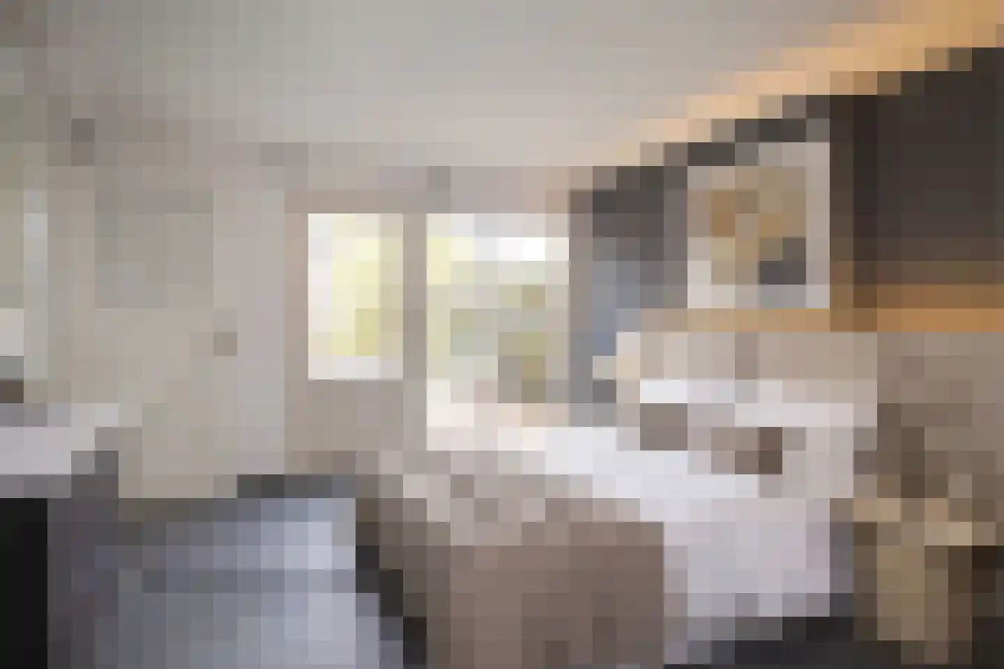 Hoogstraat 22 Overasselt thumbnail 20
