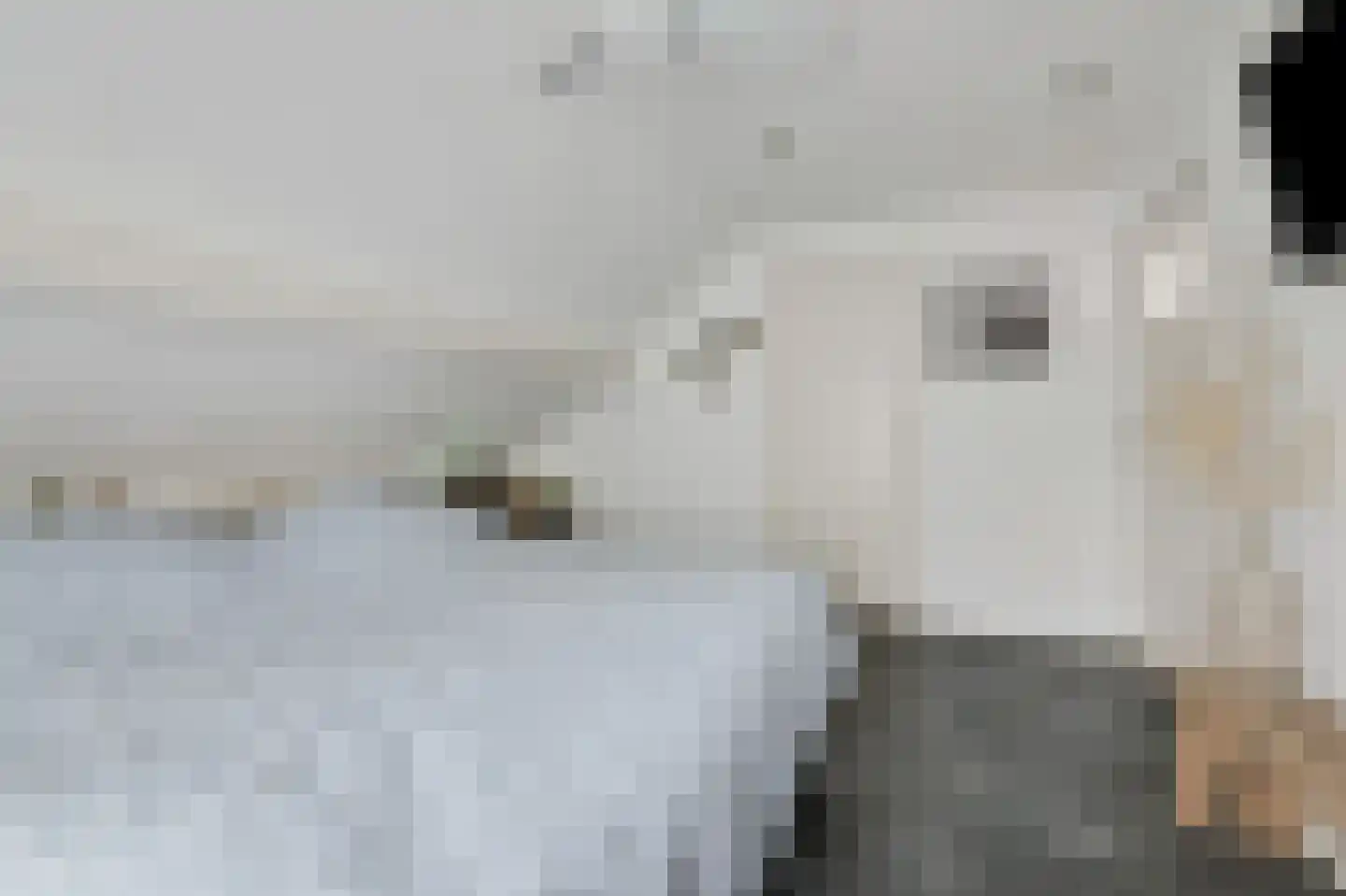 Hoogstraat 22 Overasselt thumbnail 23