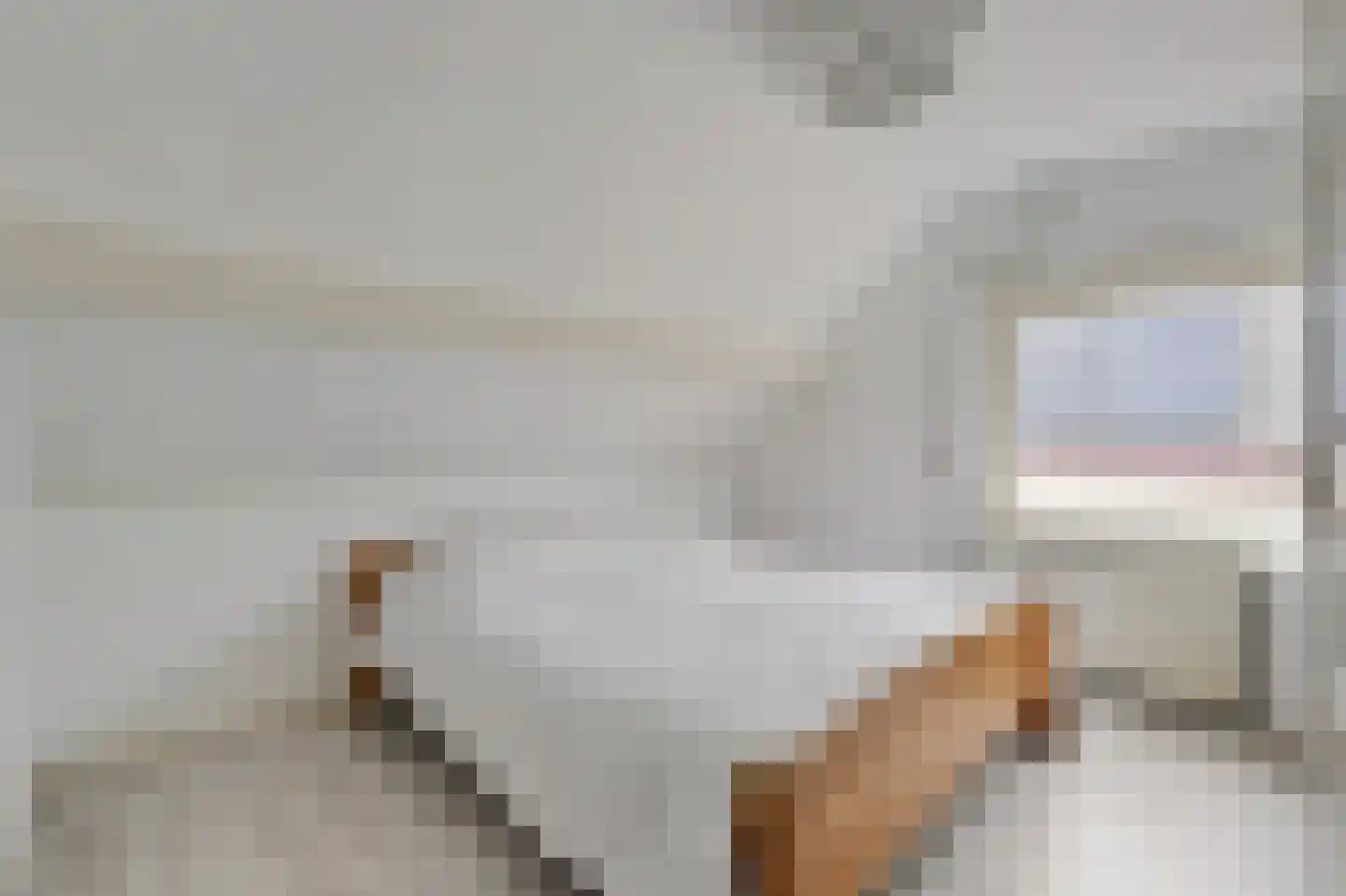 Hoogstraat 22 Overasselt thumbnail 27