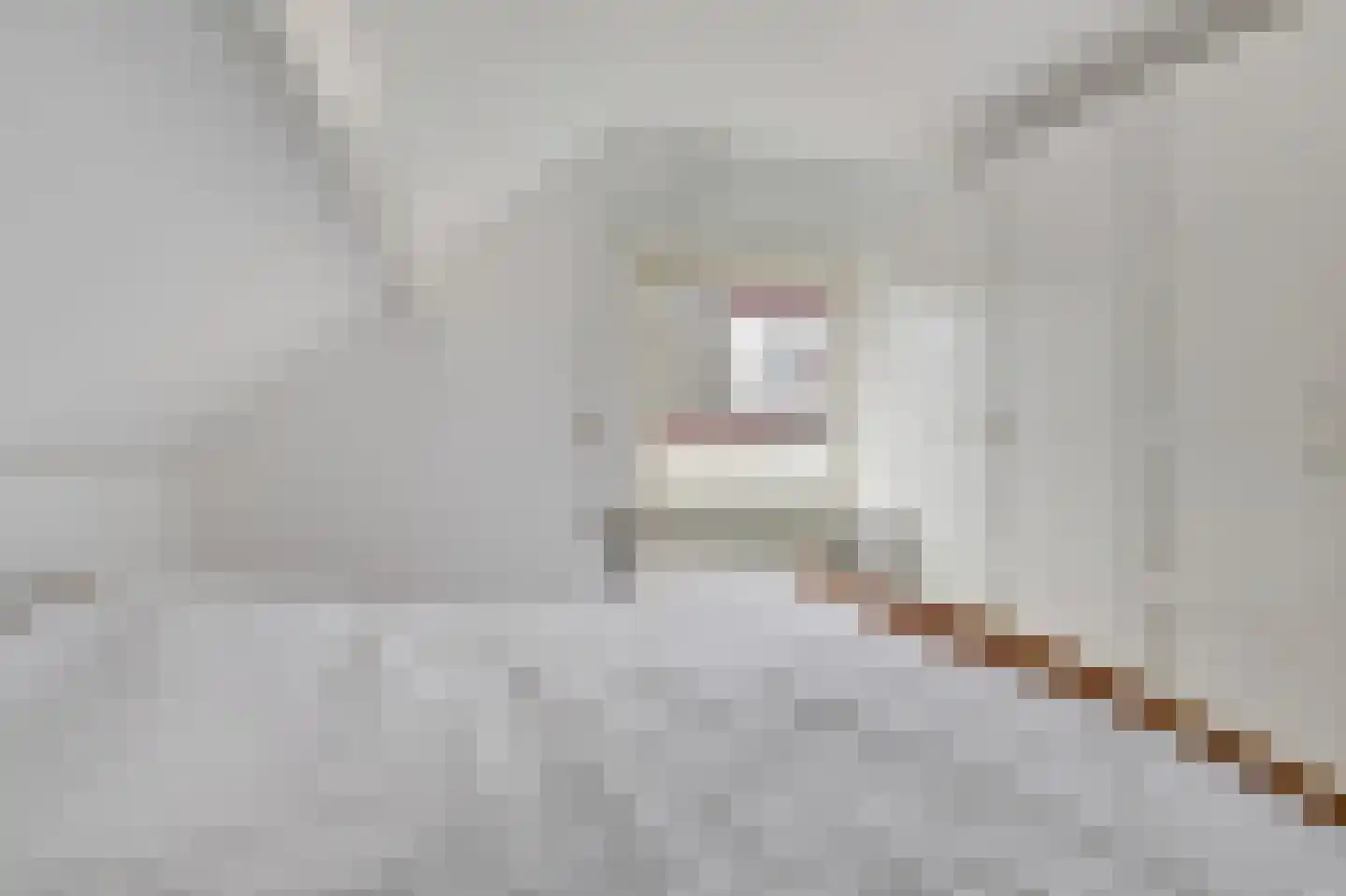 Hoogstraat 22 Overasselt thumbnail 28