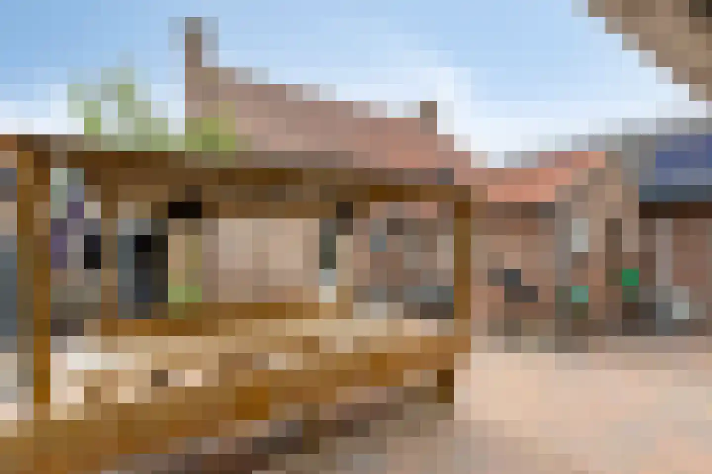 Hoogstraat 22 Overasselt thumbnail 31