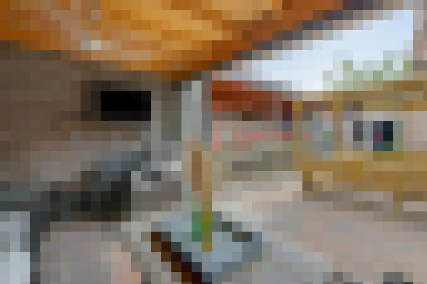 Hoogstraat 22 Overasselt thumbnail 36
