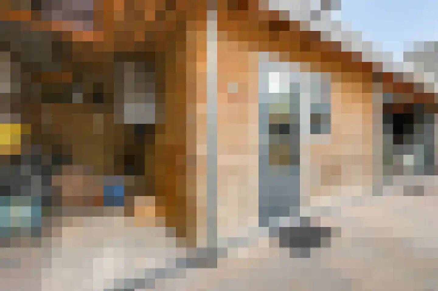 Hoogstraat 22 Overasselt thumbnail 37