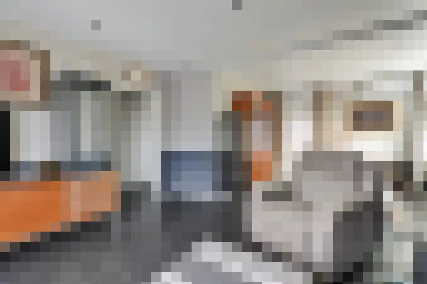 Hoogstraat 22 Overasselt thumbnail 7