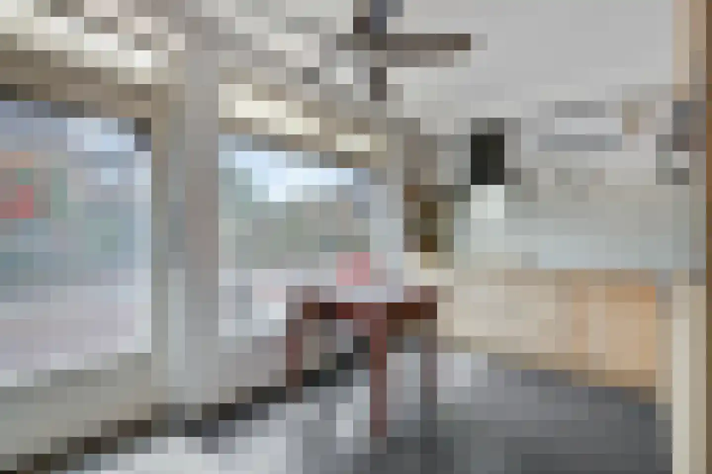 Hoogstraat 22 Overasselt thumbnail 8