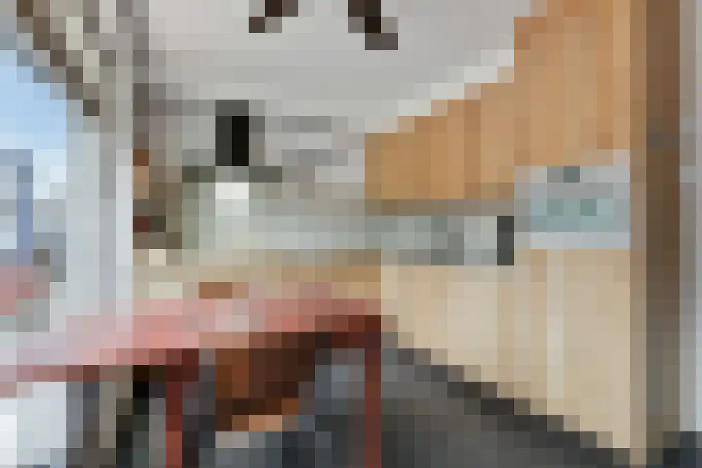 Hoogstraat 22 Overasselt thumbnail 9
