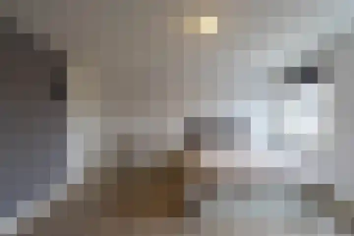 Hoogstraat 23 b Werkendam thumbnail 13
