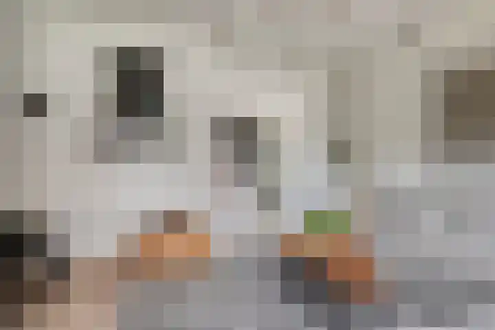 Hoogstraat 23 Valkenswaard thumbnail 18