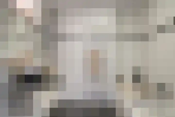 Hoogstraat 23 Valkenswaard thumbnail 31