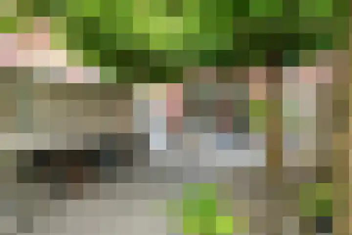 Hoogstraat 23 Valkenswaard thumbnail 36