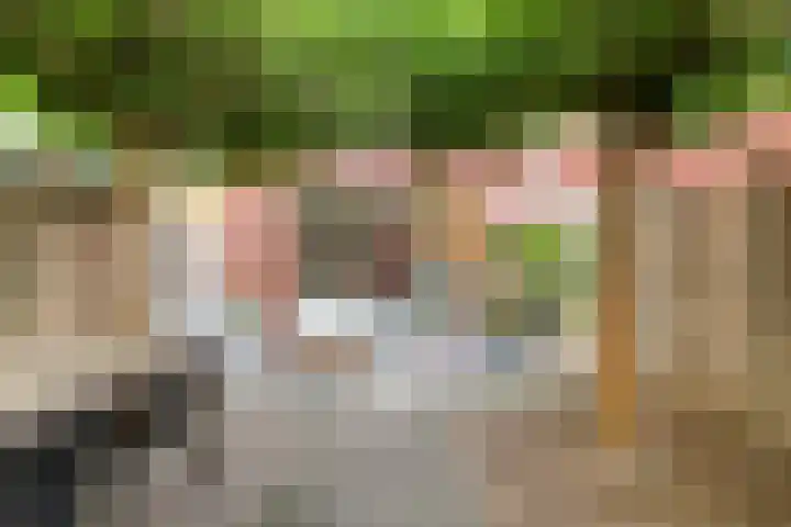 Hoogstraat 23 Valkenswaard thumbnail 37