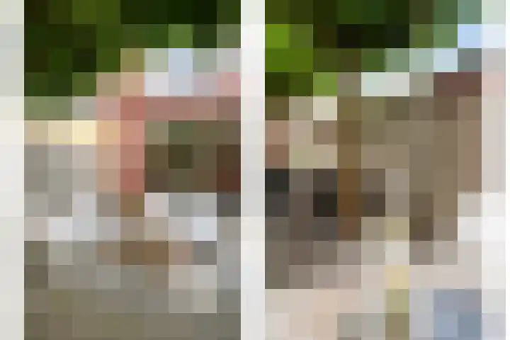 Hoogstraat 23 Valkenswaard thumbnail 38