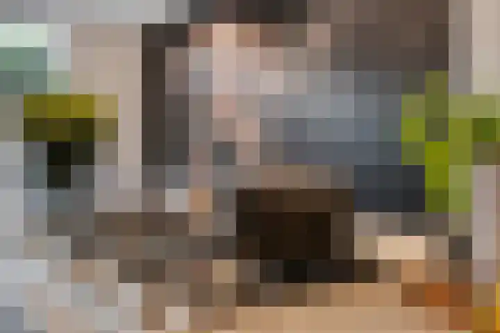 Hoogstraat 23 Valkenswaard thumbnail 8